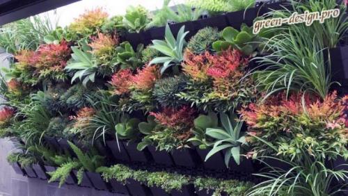 Последние тенденции в ландшафтном дизайне. Новые тенденции в ландшафтном дизайне сада с фото.