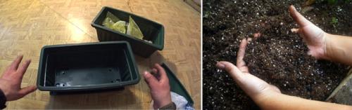 Тюльпаны на подоконнике. Волшебная клумба на подоконнике: как посадить и вырастить тюльпаны в домашних условиях