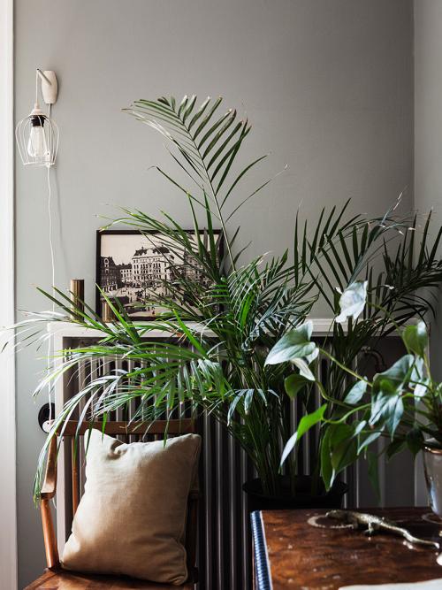 Квартира со стильным декором в стиле 20-х годов (51 кв. м) 09