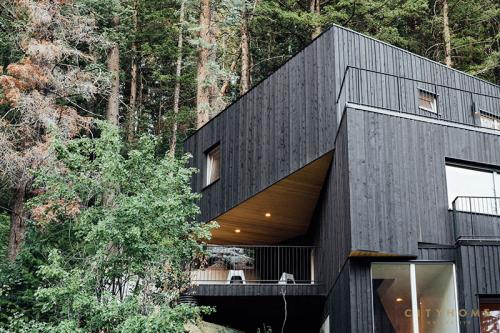 Деревянный дом, который «встроили» в лесной склон 01