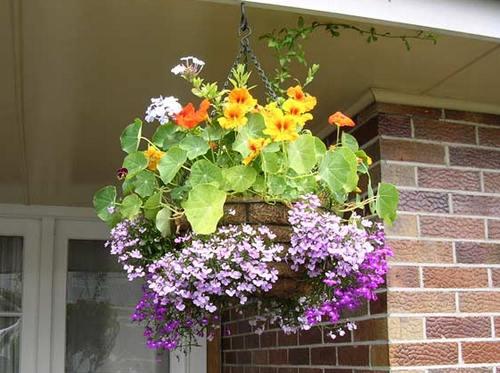 Как сделать подвеску для цветочного горшка. Любителям подвесных кашпо для сада, созданных своими руками