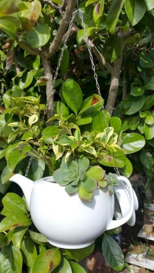 Как из старой футболки сделать кашпо. 15 оригинальных цветочных горшков из старых вещей