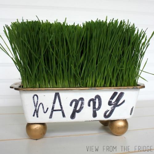 Как из старой футболки сделать кашпо. 15 оригинальных цветочных горшков из старых вещей