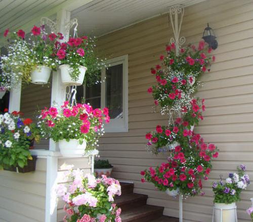 Как сделать кашпо для петунии. Петуния в кашпо — Выращивание и Фото