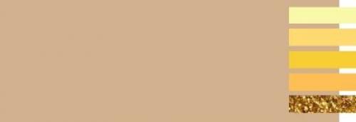 Оттенки бежевого цвета палитра. С какими цветами сочетается бежевый?