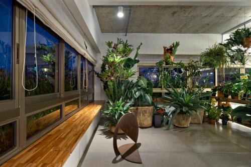 Зимние сады в частных домах. Зимний сад в доме: идеи оформления, правила обустройства и советы по выбору растений для зимнего сада (110 фото и видео)