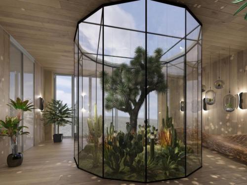 Зимние сады в частных домах. Зимний сад в доме: идеи оформления, правила обустройства и советы по выбору растений для зимнего сада (110 фото и видео)