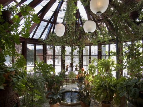 Зимний сад проект. Назначение зимнего сада