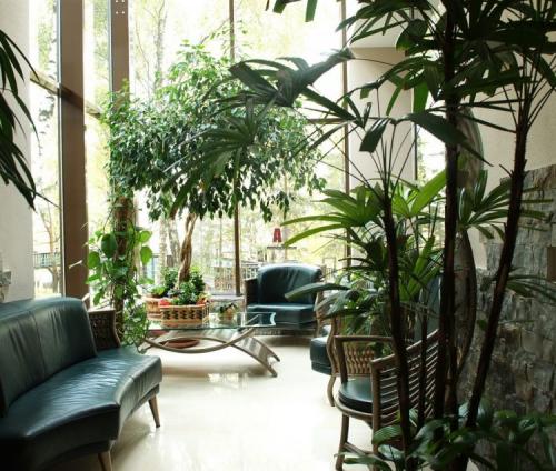 Зимние сады в частных домах. Зимний сад в доме: идеи оформления, правила обустройства и советы по выбору растений для зимнего сада (110 фото и видео)