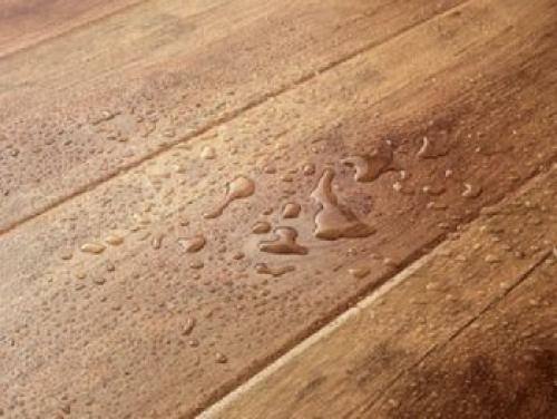 Полироль для паркета. Что такое полировка паркета? 04 Полироль для паркета. Что такое полировка паркета? 04