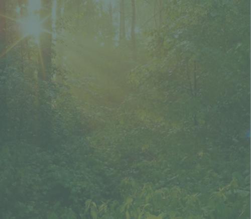 Линолеум вреден ли для здоровья. Линолеум опасен для здоровья? 07