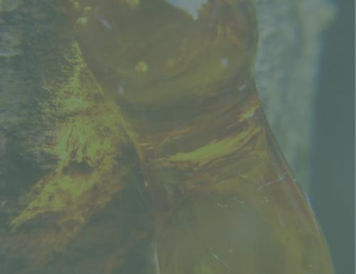 Линолеум вреден ли для здоровья. Линолеум опасен для здоровья? 06