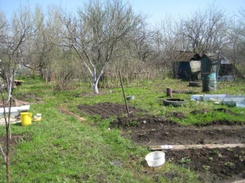 Как привести в порядок запущенный огород. Как быстро освоить запущенный участок