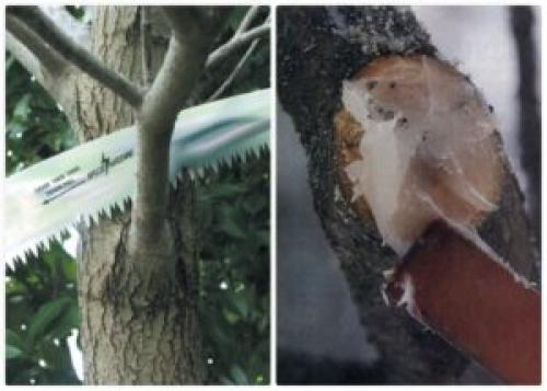 Жидкое стекло применение в бане. Что представляет собой материал