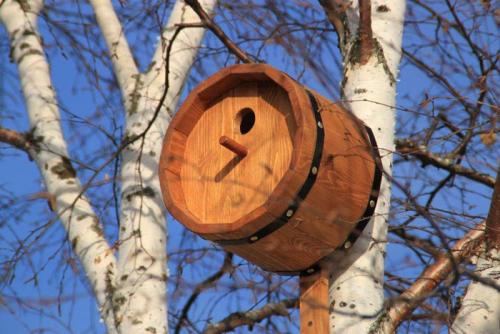 Скворечник для птиц своими руками: классические рекомендации и оригинальные идеи