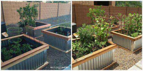 Как сделать грядки из профлиста своими руками. Как сделать высокие грядки из профлиста