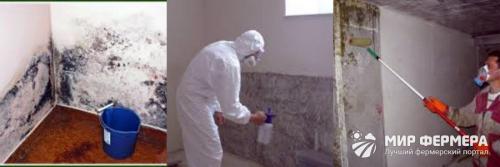 Известь негашеная применение в подвале. Способы дезинфекции погреба 04