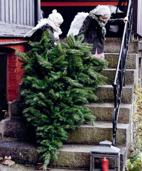 История с ангелами от Home & Cottage 01