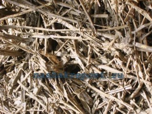 Из глины строительство. Строительство фундамента для дома из соломы и глины