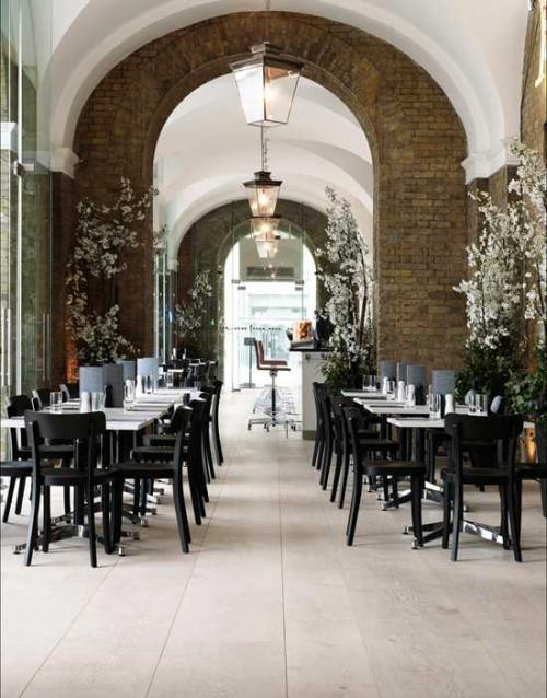 Страсть по дереву 01