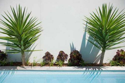 Маленький стильный сад 05