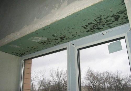 Гипсокартон вызывает рак. Особенности ГКЛ, которые могут вызвать неприятные последствия