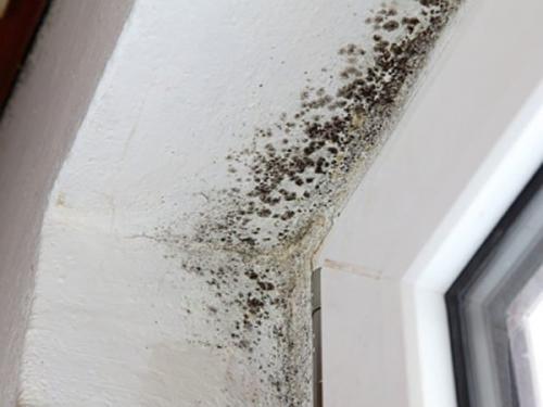 Гипсокартон вызывает рак. Особенности ГКЛ, которые могут вызвать неприятные последствия