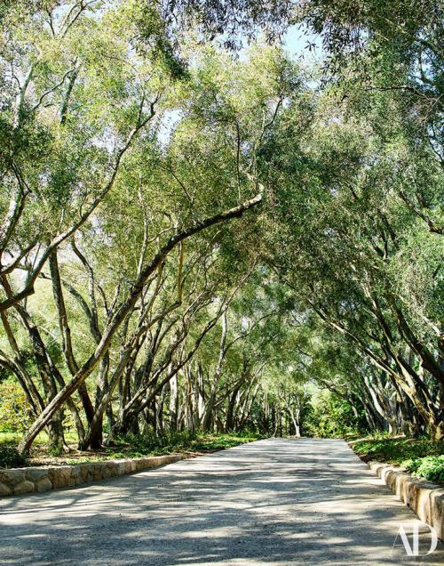 Идеальный семейный дом 09