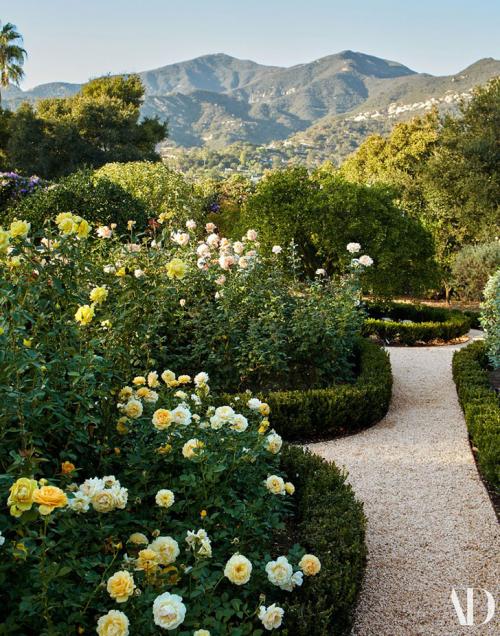 Идеальный семейный дом 05