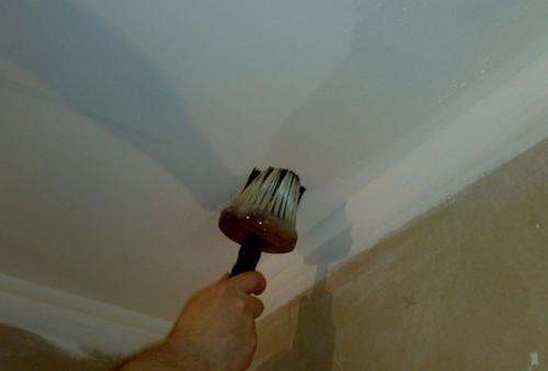 Чем отделать потолок в ванной. Какой потолок лучше сделать в ванной