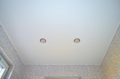 Потолок в ванной своими руками — советы по выбору стиля и дизайна. Способы монтажа и варианты отделки потолка