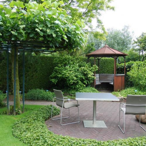 Ландшафт участка 15 соток с постройками. Планировка участка 15 соток — пошаговая инструкция, как обустроить свой участок под ключ! (фото и видео) 15