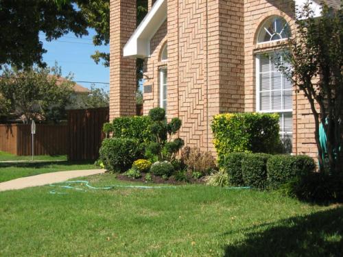 Как сделать участок сухим. Как осушить участок: эффективные методы избавления от грунтовых вод своими руками (70 фото)