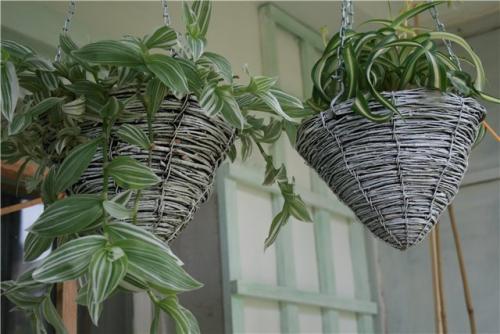 Кашпо из дерева своими руками. Деревянные кашпо