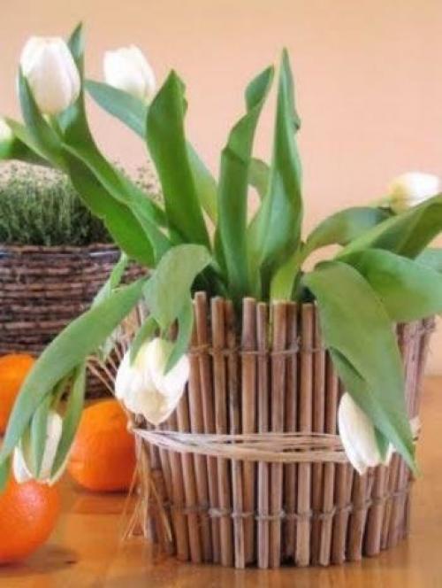 Кашпо из дерева своими руками. Деревянные кашпо