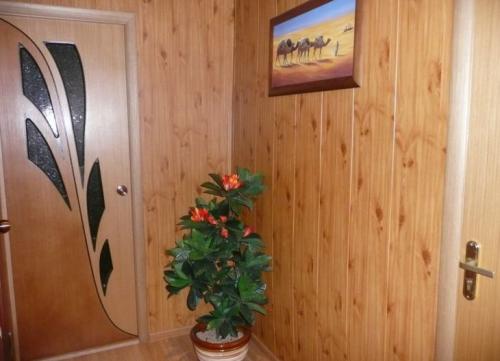 Чем отделать стены в прихожей. Отделка в квартире