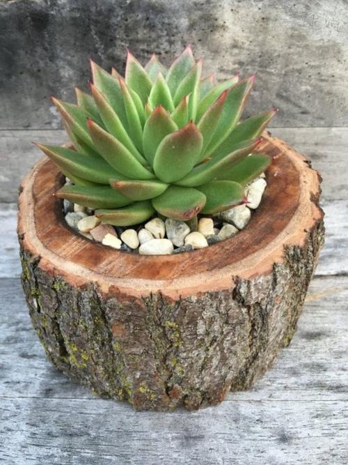 Дизайн маленького садового участка своими руками. Лучшие идеи для дачи — дизайнерские идеи для дачи и правила обустройства дачного участка 105 фото