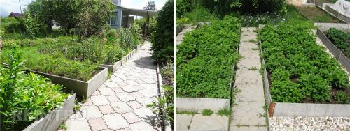 Ограждения для грядок из шифера. Как сделать грядку из шифера? 02 Ограждения для грядок из шифера. Как сделать грядку из шифера? 02