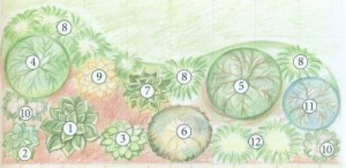 Готовые схемы цветников для начинающих. Схемы простых клумб для начинающих