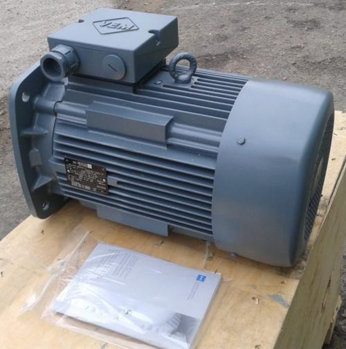 Ремонт бензокосы чемпион своими руками. Конструкция бензокосы 09