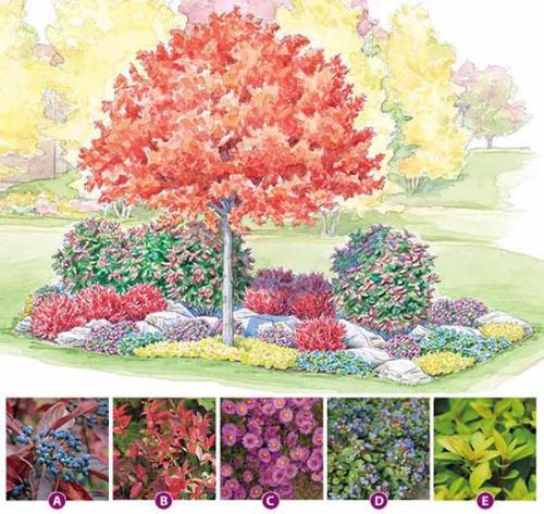 Клумба на солнечном месте схемы. Как сделать красивую клумбу: 15 схем для цветника