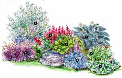 Клумба на солнечном месте схемы. Как сделать красивую клумбу: 15 схем для цветника