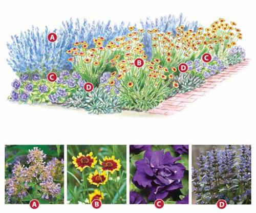 Клумба на солнечном месте схемы. Как сделать красивую клумбу: 15 схем для цветника