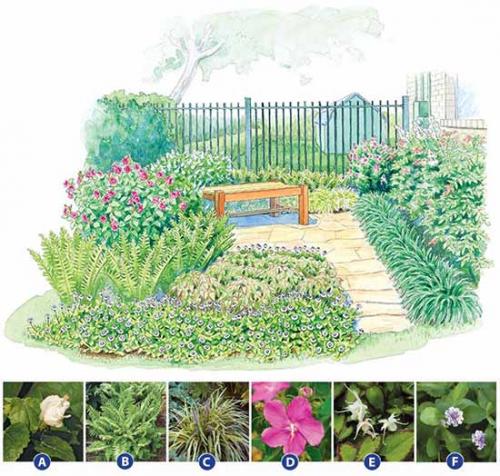 Клумба на солнечном месте схемы. Как сделать красивую клумбу: 15 схем для цветника