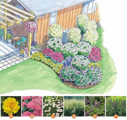 Клумба на солнечном месте схемы. Как сделать красивую клумбу: 15 схем для цветника
