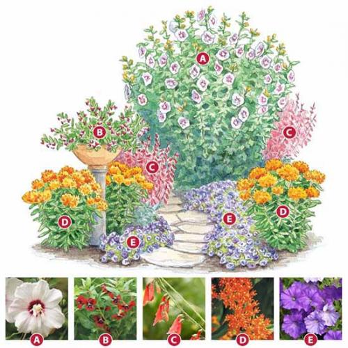 Клумба на солнечном месте схемы. Как сделать красивую клумбу: 15 схем для цветника