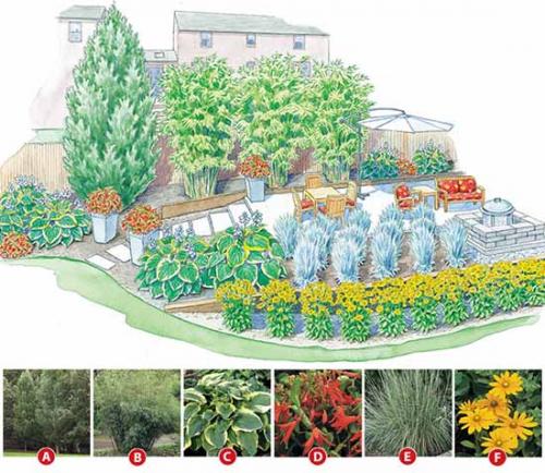 Клумба на солнечном месте схемы. Как сделать красивую клумбу: 15 схем для цветника