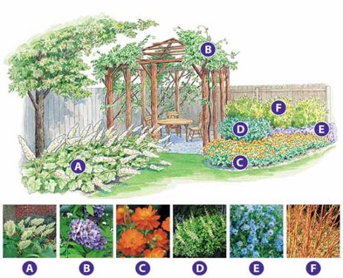 Клумба на солнечном месте схемы. Как сделать красивую клумбу: 15 схем для цветника