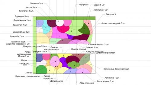 Схемы клумб из многолетних цветов. Разработка схемы цветников из многолетников