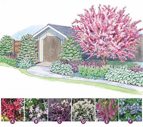 Клумба на солнечном месте схемы. Как сделать красивую клумбу: 15 схем для цветника